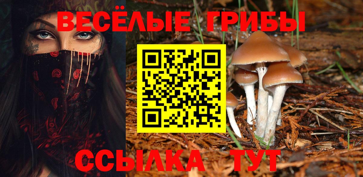 Галлюциногенные грибы Cubensis  Вход с VPN  Семёнов 
