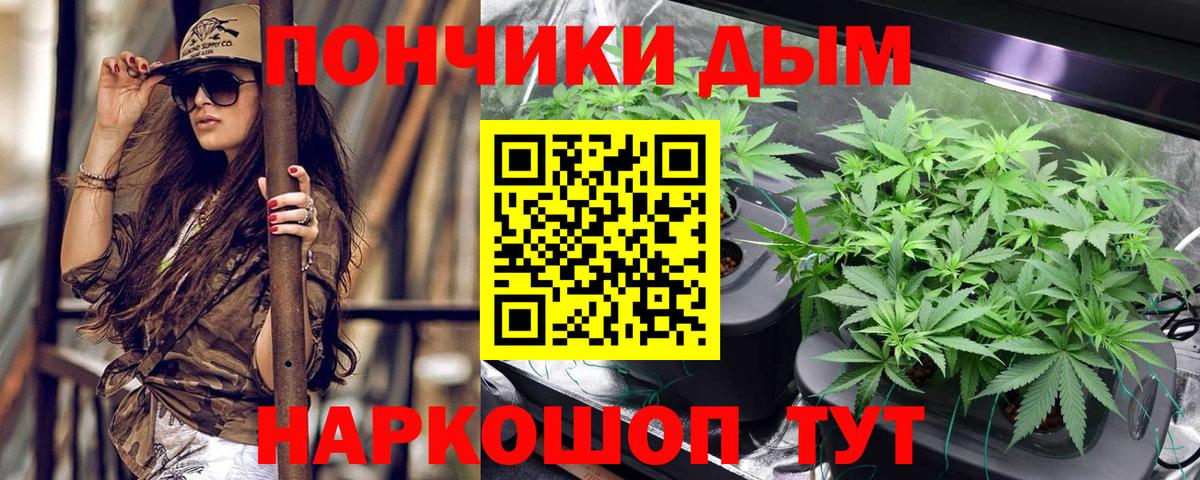 Бошки Шишки ГИДРОПОН Семёнов